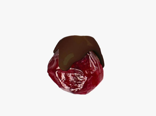 Arándano cubierto de chocolate sin azúcar