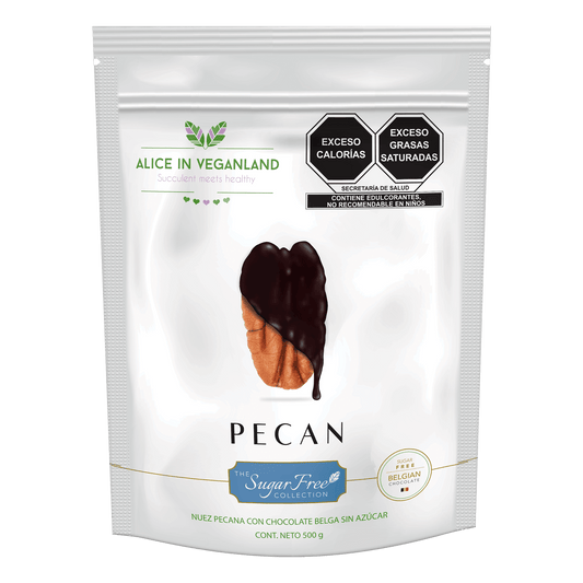 Nuez Pecana con chocolate sin azúcar. Bolsa con 500 gramos. ¡NUEVA!